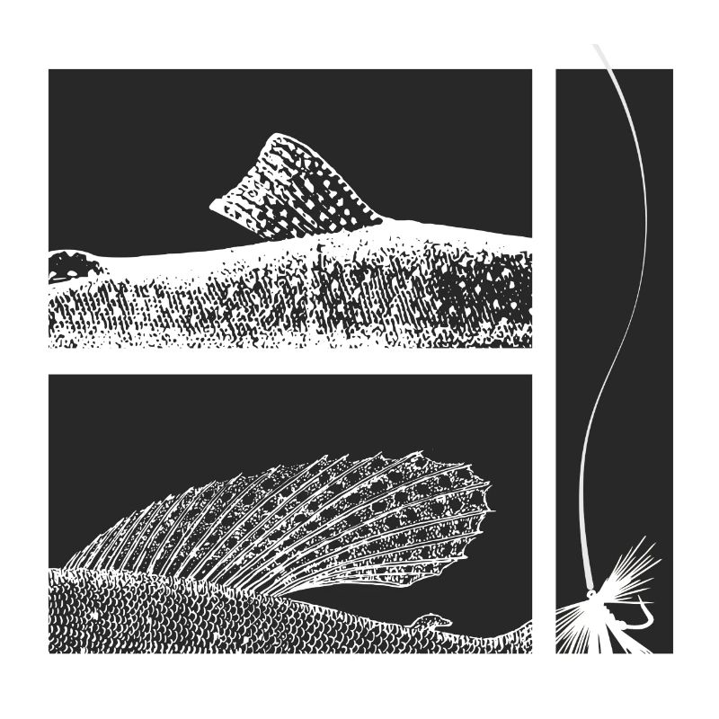 Modell 44 - Äsche und Forelle