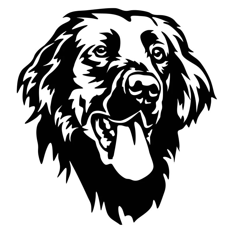Flat-coated Retriever Head