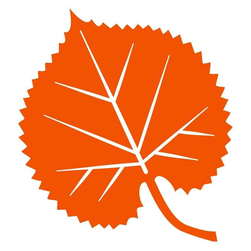 Linden leaf