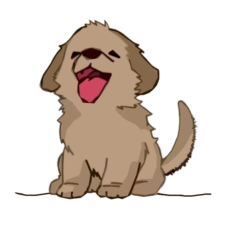 Hund