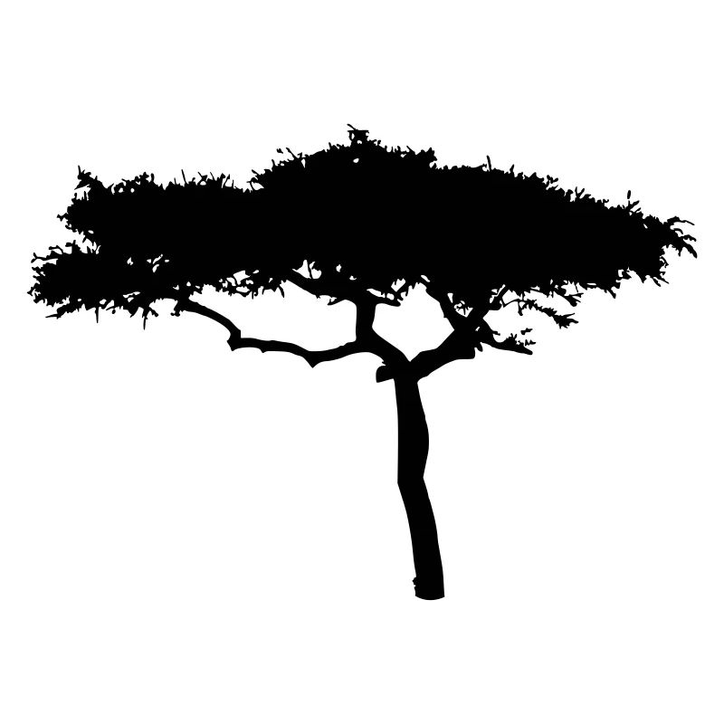 Afrika Savanne Baum