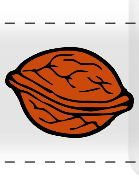 walnut