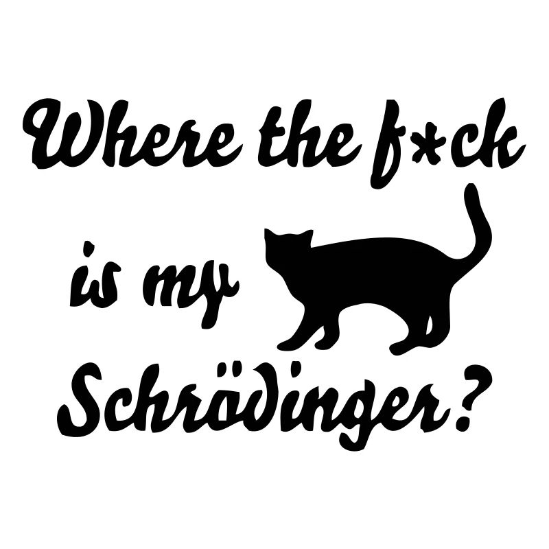 Chat de Schrödinger