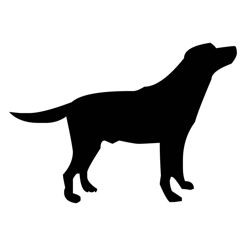 hund