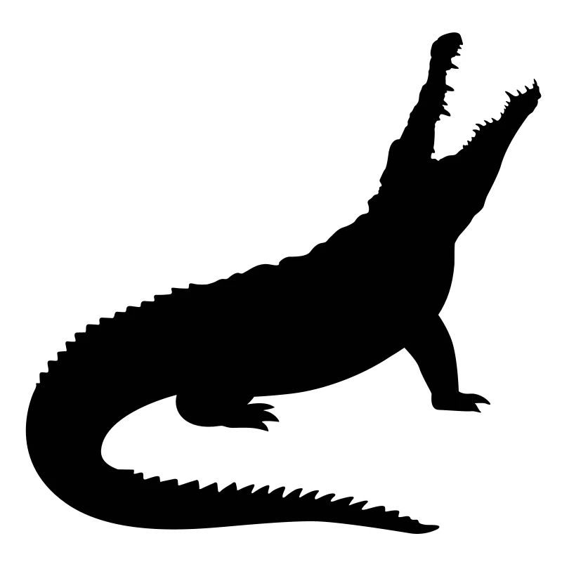 A crocodile
