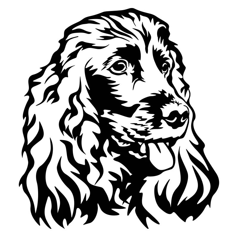 Cocker Spaniel Kopf