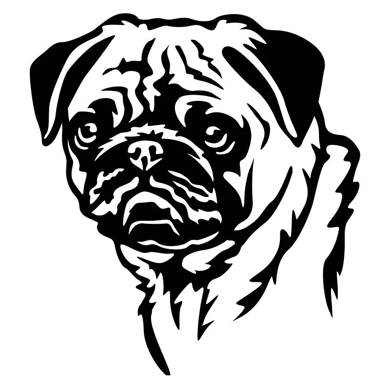 Mops Kopf