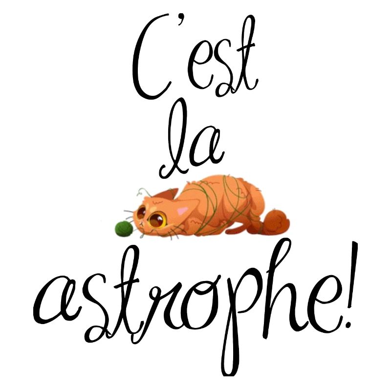 C'est la catastrophe, les chats sont très joueurs.
