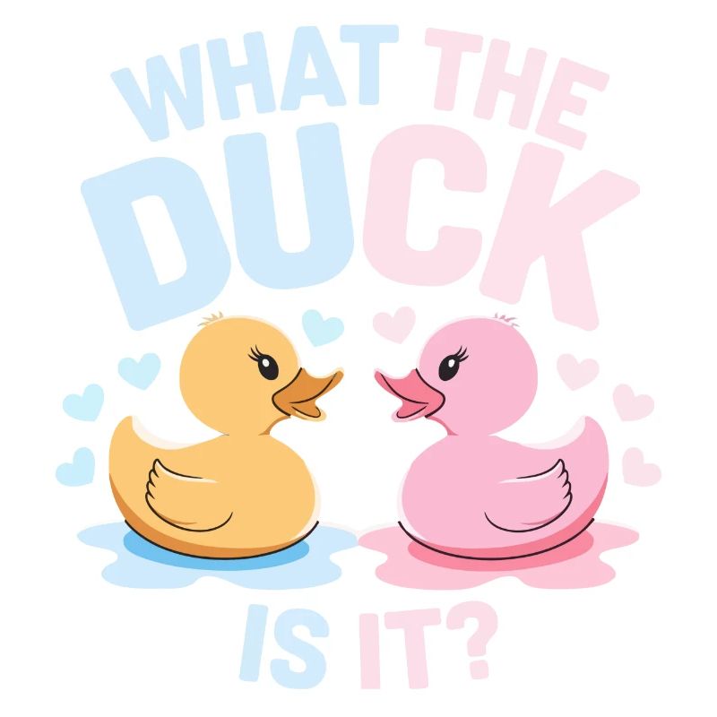 Qu’est-ce que c’est que le canard