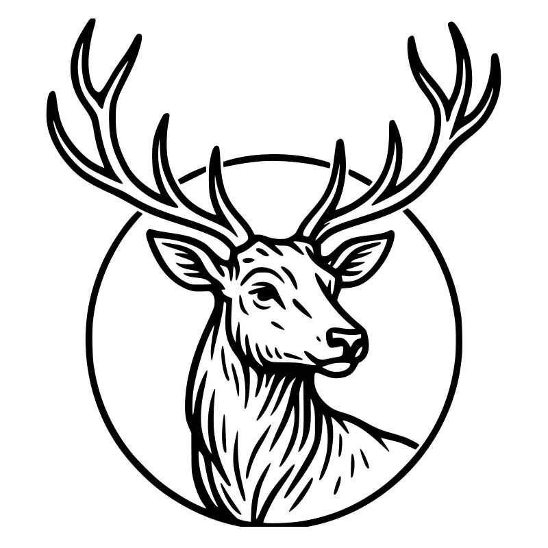 Large, deer