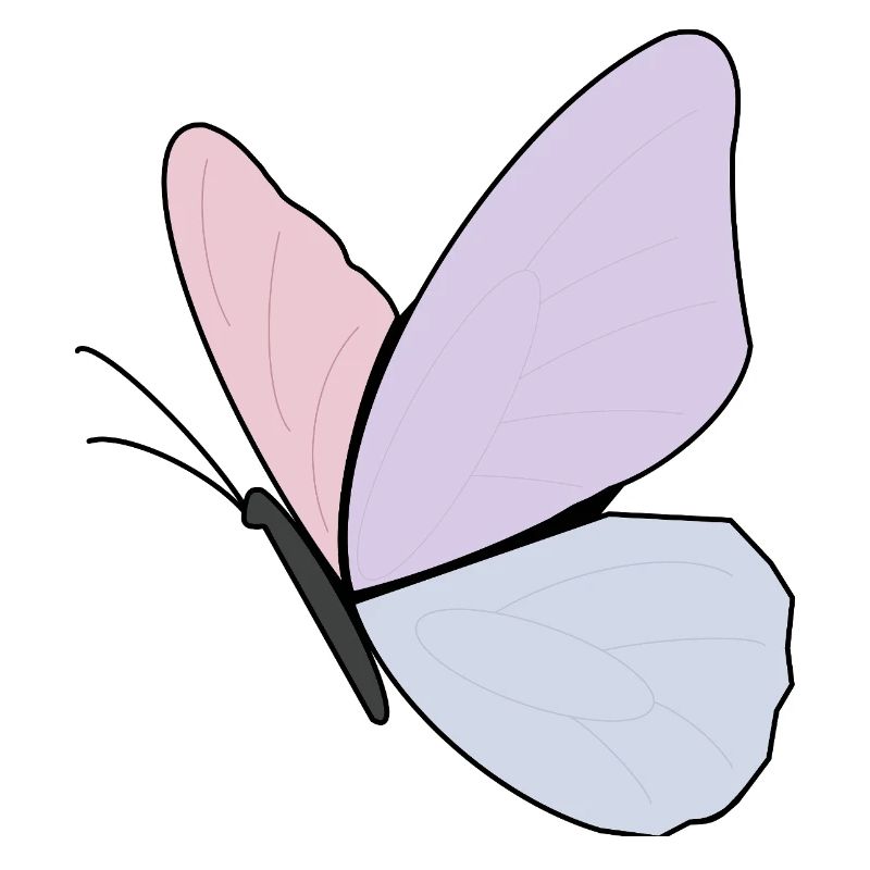Conception de papillon pastel