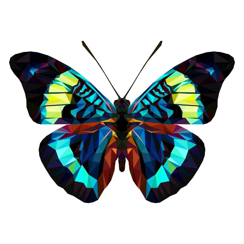Papillon