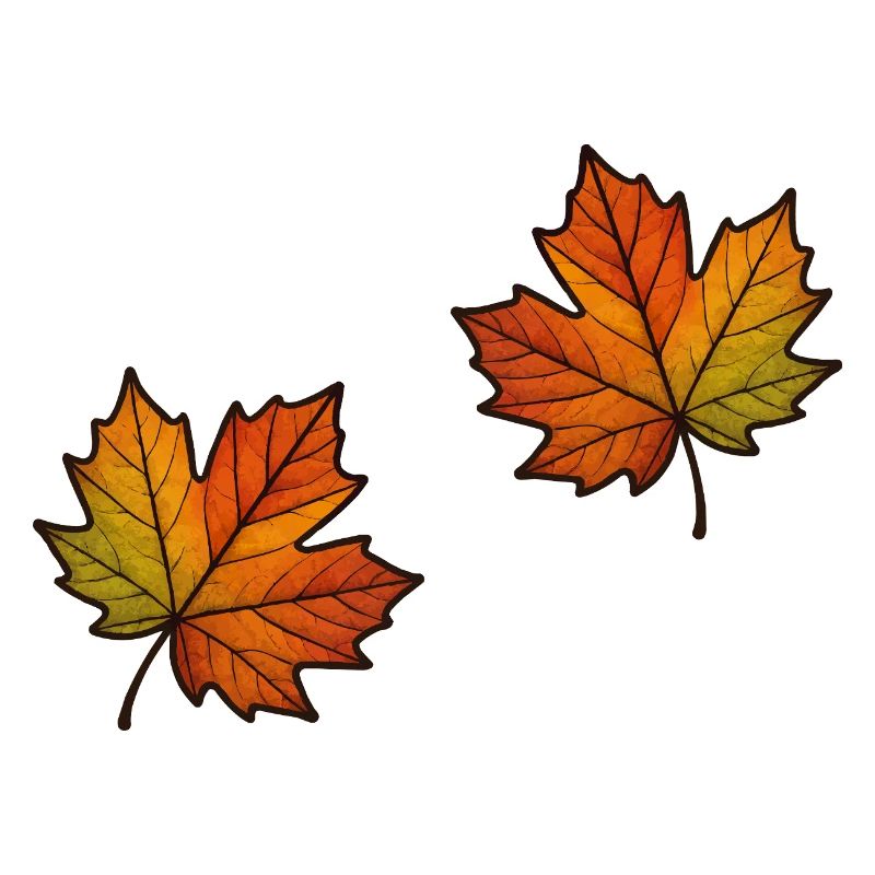 Leaf Autumn Maple Leaf 2