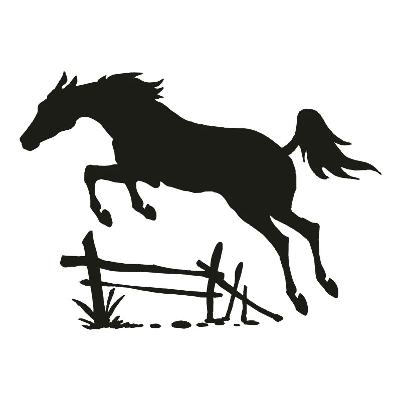 CSO