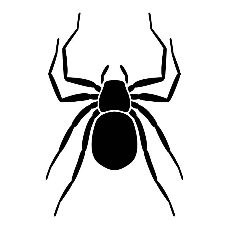 araignée