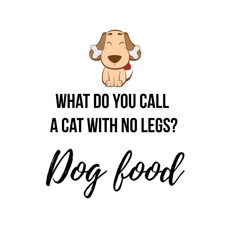 Qu'est-ce que vous appelez un chat sans jambes?