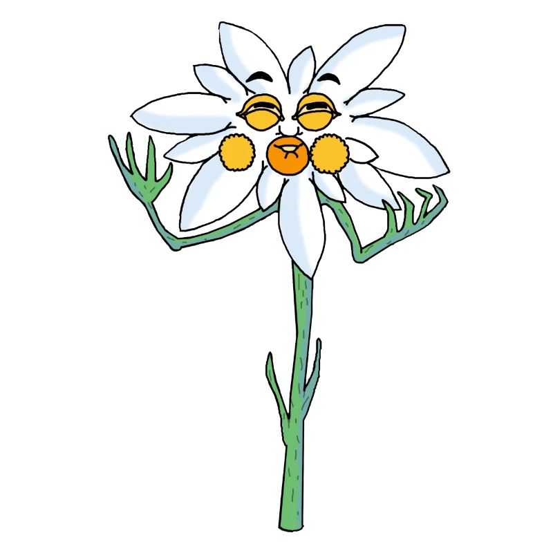 edelweiss