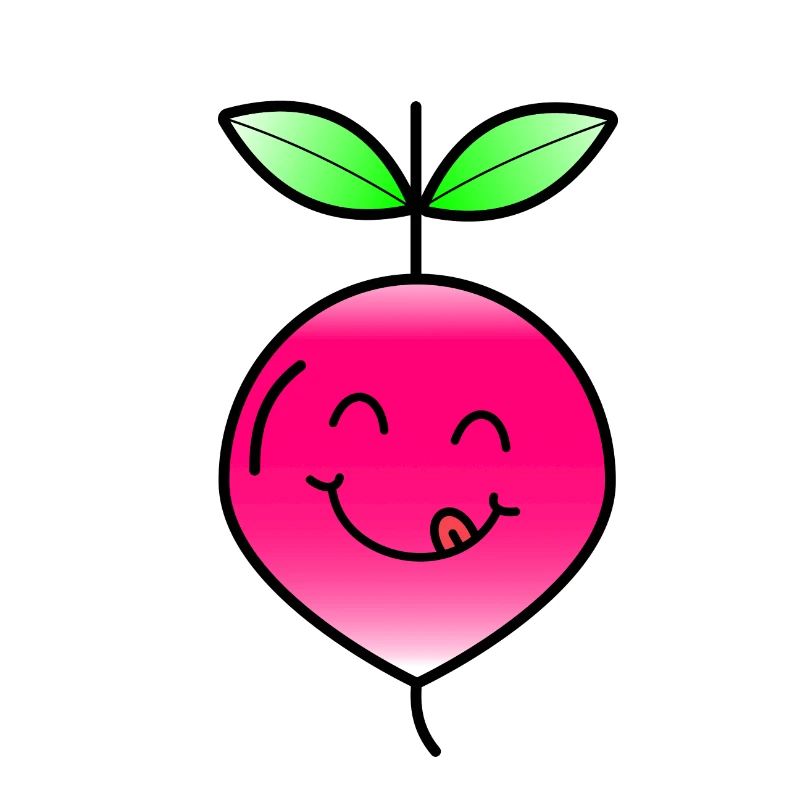 Radieschen Gemüse Gesund Essen Geschenk Idee