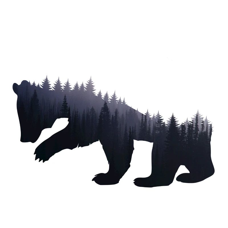 Bear Forest Nature - Gift