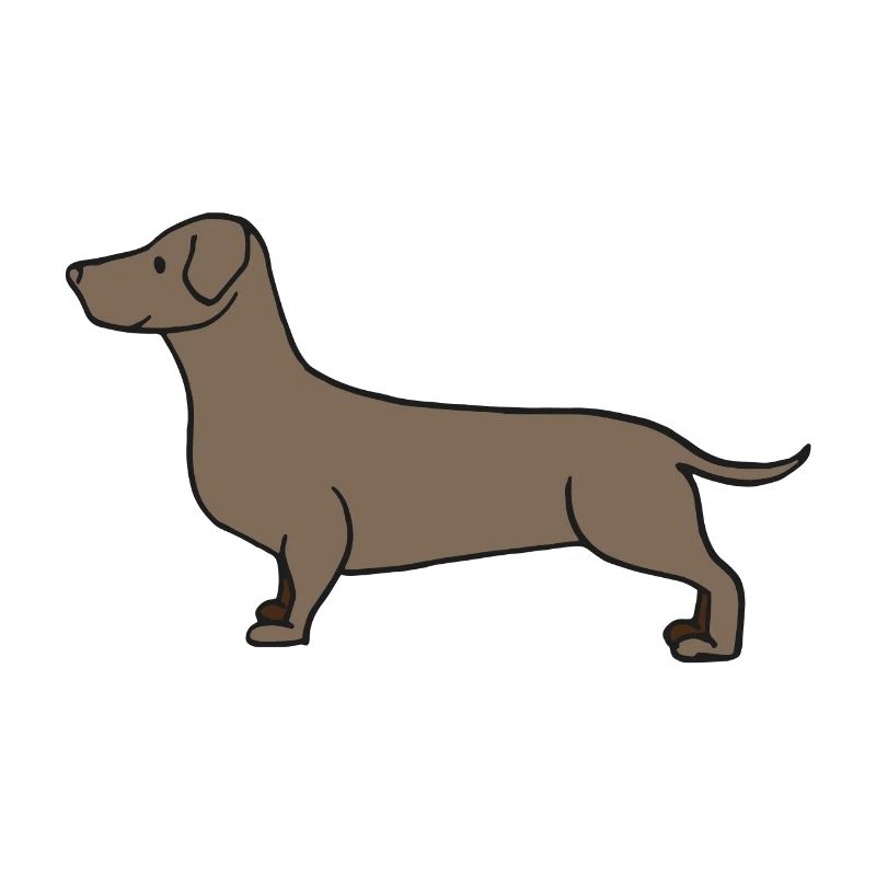 doux teckel brun , Affiche , Idée cadeau