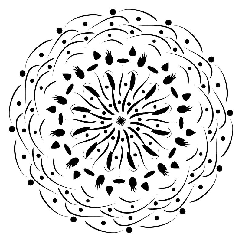 Rotating Flower in Black Pattern Gift Idea