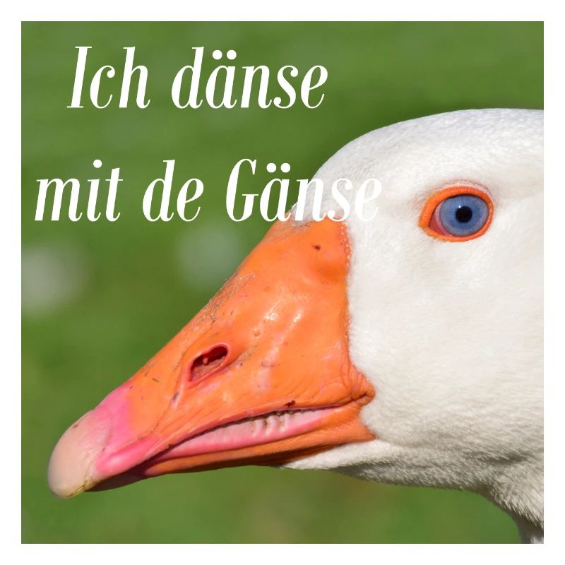 Ich dänse mit de Gänse