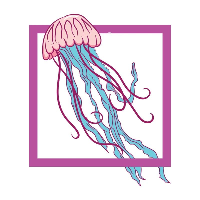 Méduse - Eau - mer - coloré