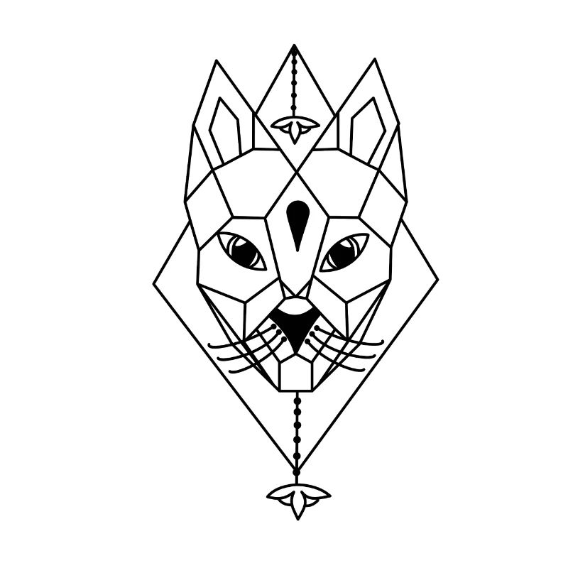 A cat drawn as a geometry