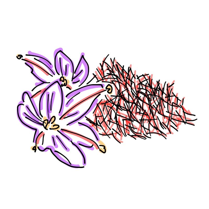 saffron