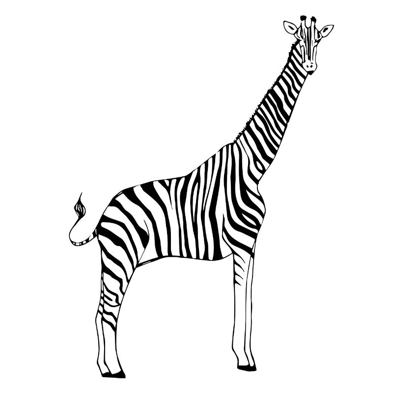 zebra giraffe