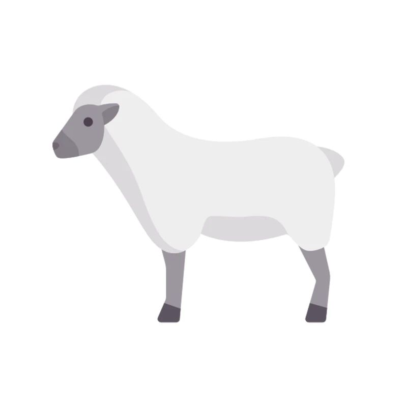 mouton de nuage blanc