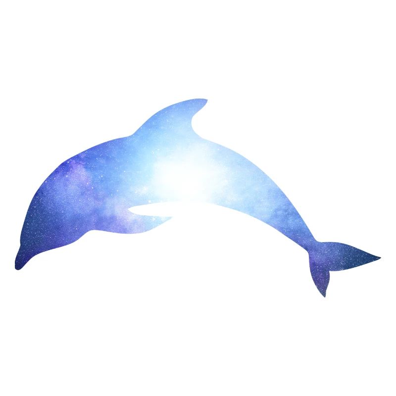 dolphin