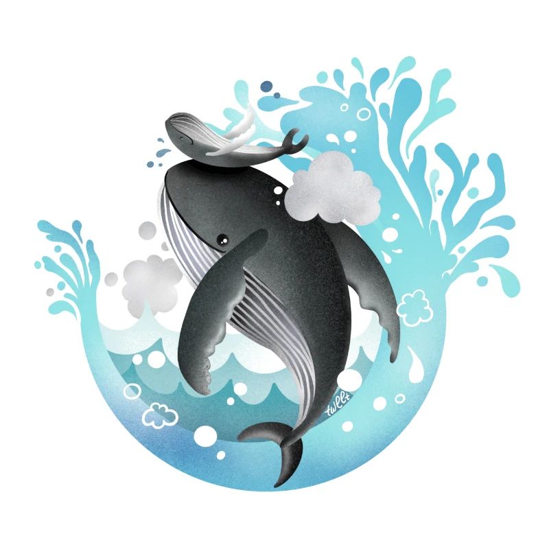 Dive Dive Humpbacks - humpback whales