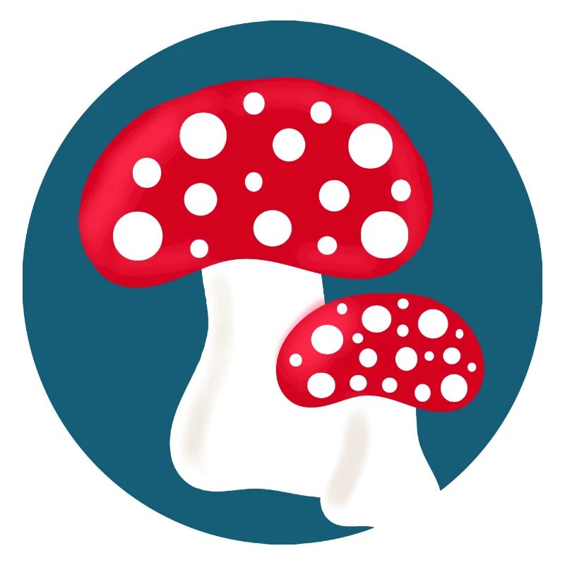 Toadstool, mushroom in the woods gift