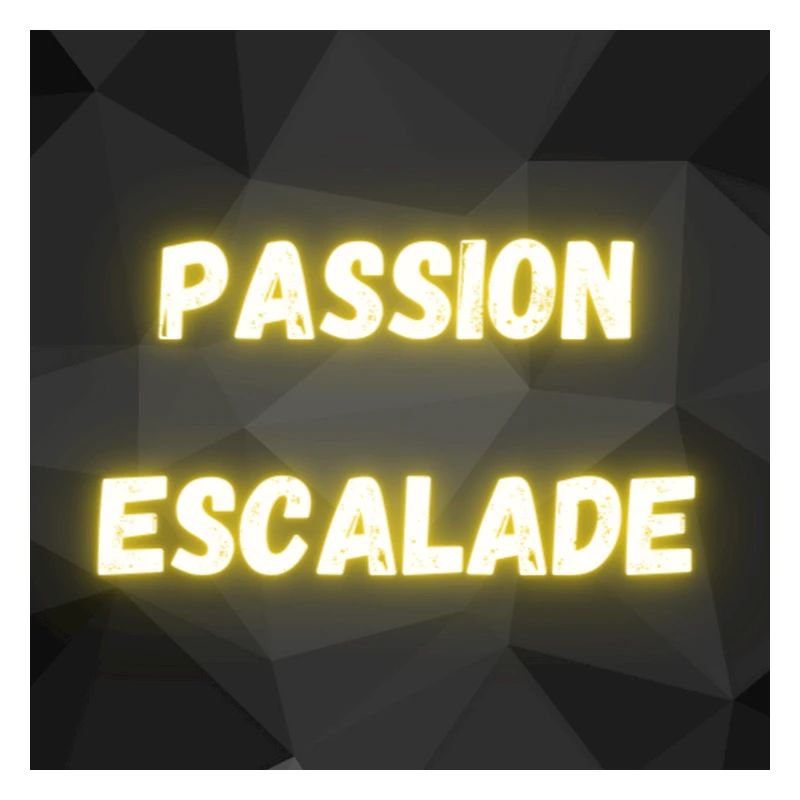 ESCALADE. CLIMB. CLIMBING. ESCALADE. VAN. GRIMPER.