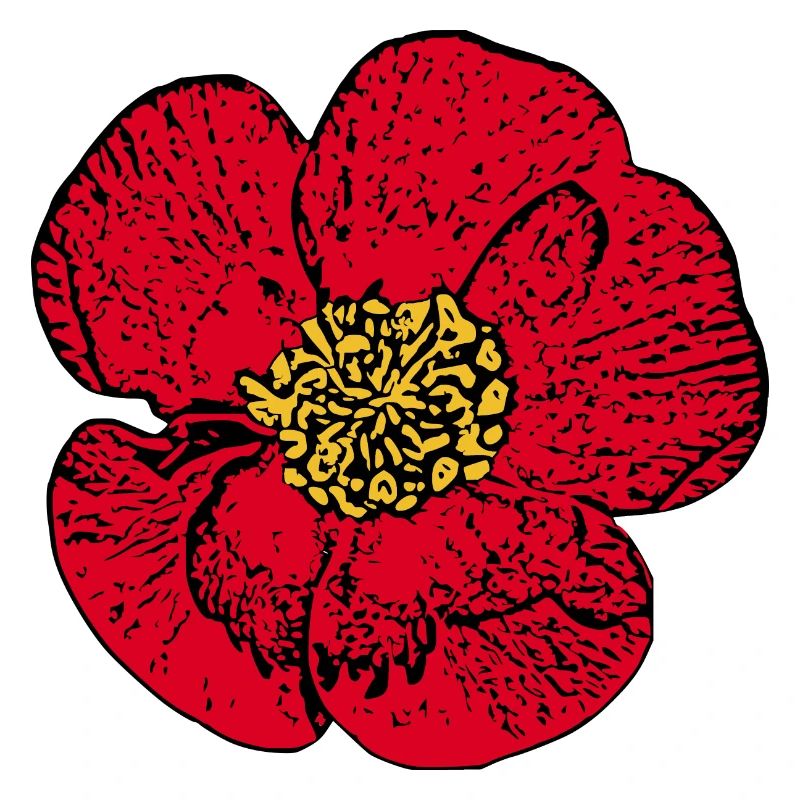 Fleur Rouge Fleur Rouge Fleurs Rouge Fleurs