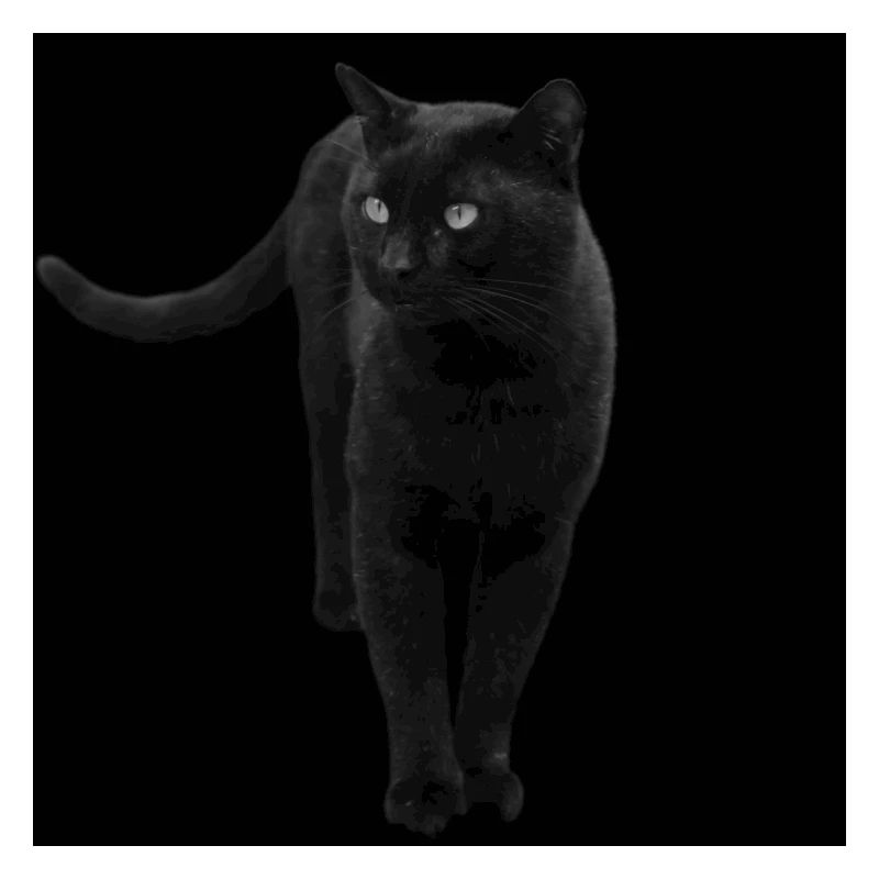 schwarze Katze Katze schwarz Katzen Geschenk
