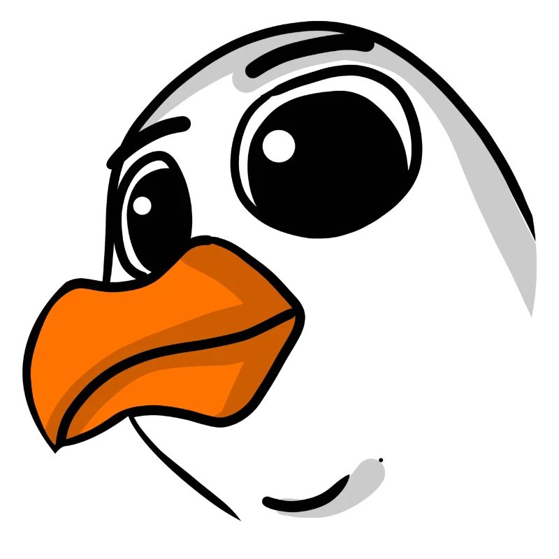 Seagull Head