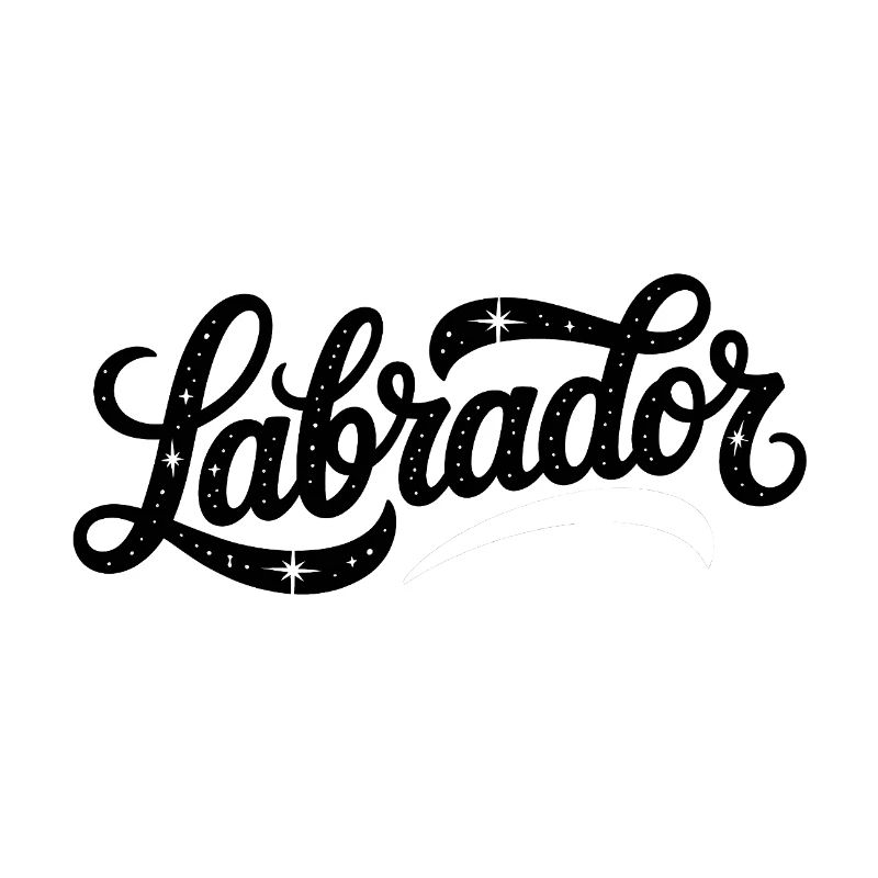 Labrador - Logo d’animal de compagnie cool