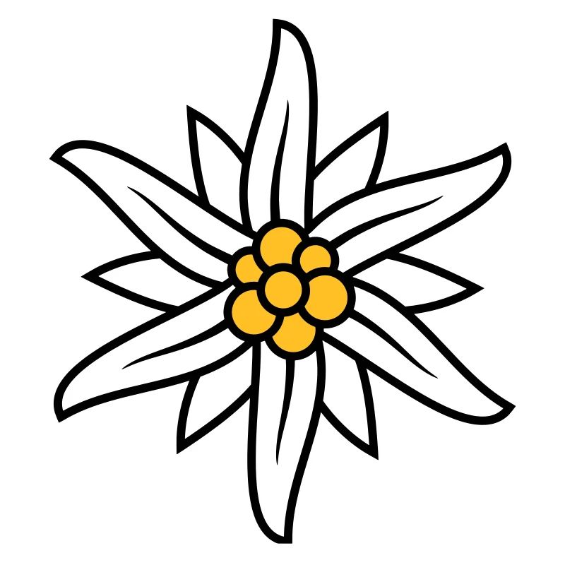 Logo Edelweiss Bergblume