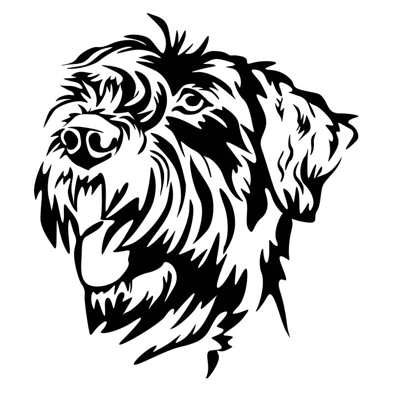 Giant Schnauzer head