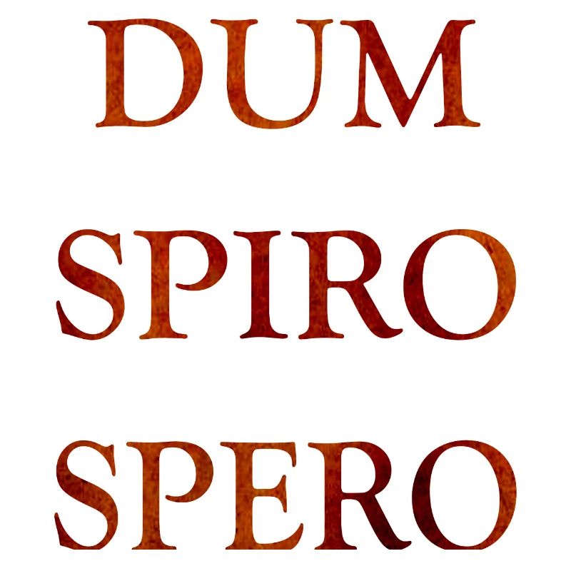 dum spiro spero, citations latines