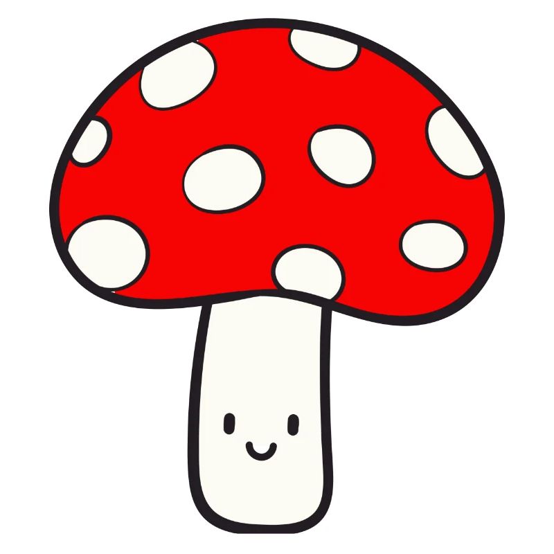 Champignon Mouche agaric Lucky Mushroom