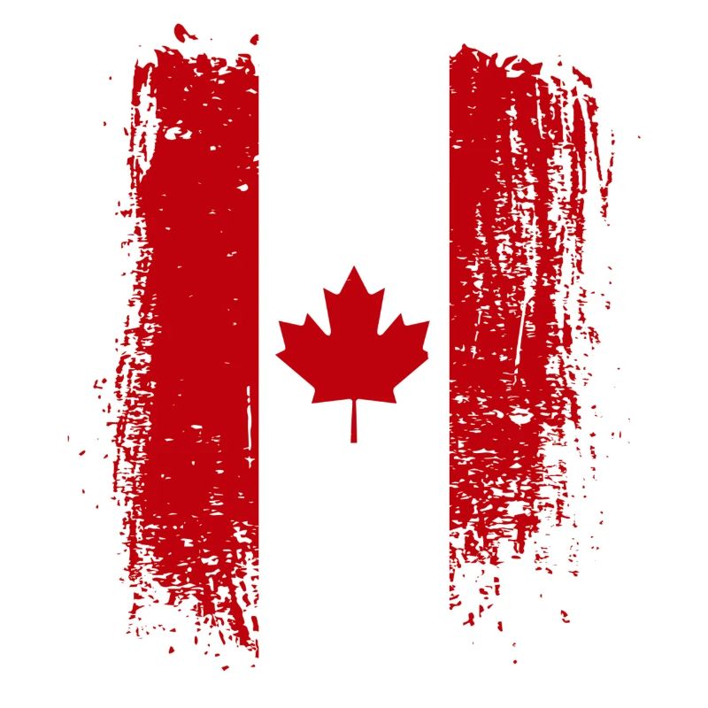 Grunge Canada Drapeau Érable Art