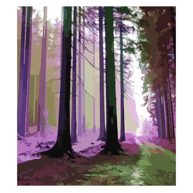 Haunted Cloud Forest