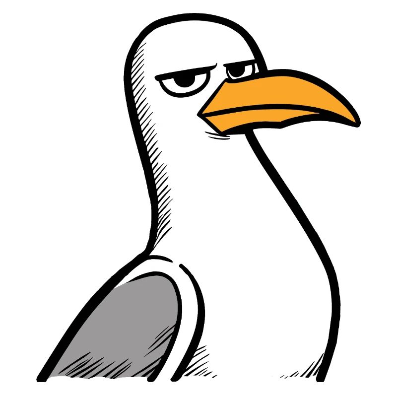 Seagull View