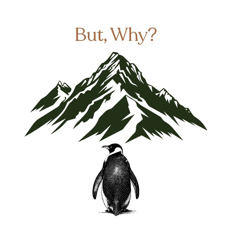 But, Why? Mountain landscape