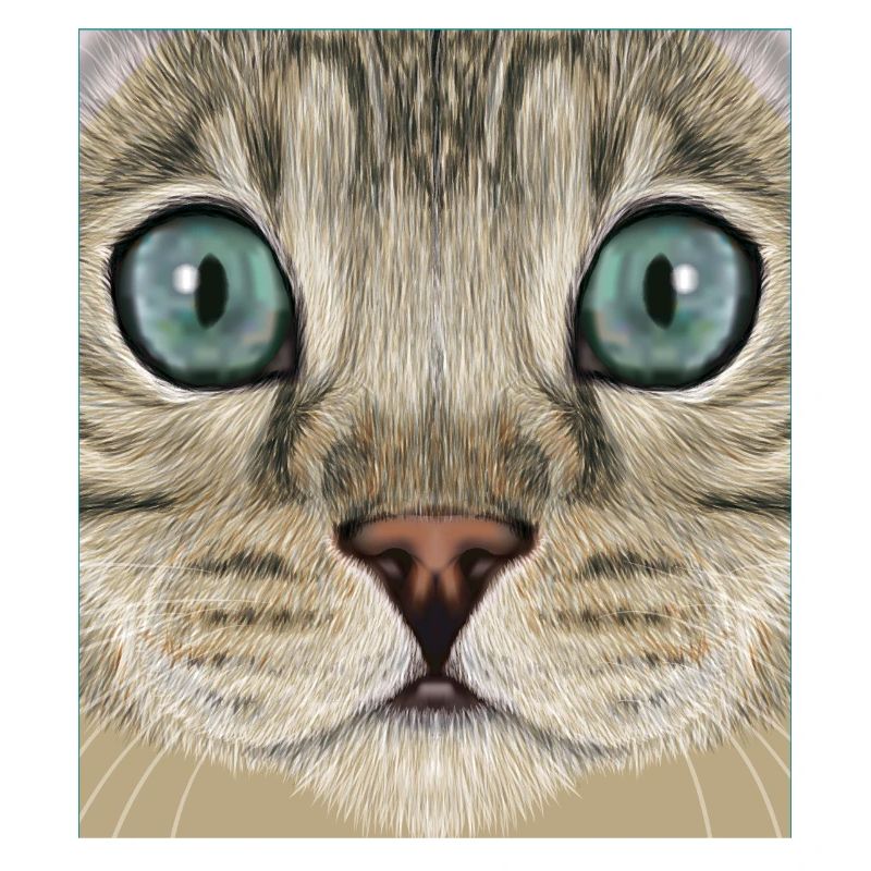 Chat léopard