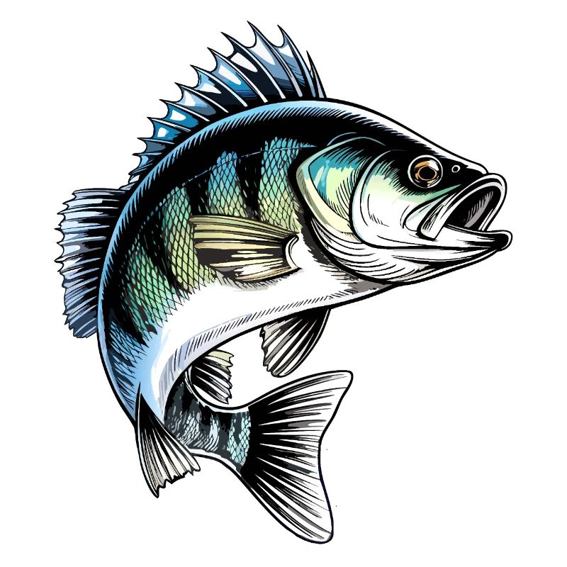 Illustration du poisson dynamique Jumping Perch