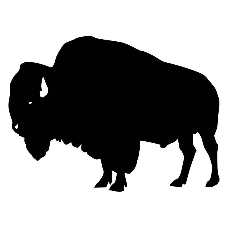 Bison